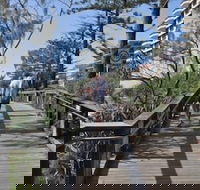 Villa Coolum - Accommodation Brunswick Heads