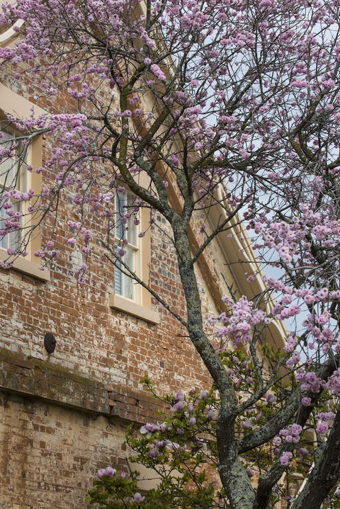 The Racecourse Inn - Accommodation Brunswick Heads 0