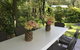 Lemon Tree Cottage Bendeela - thumb 6