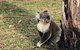 Ingenia Holidays Murray Bend - thumb 2