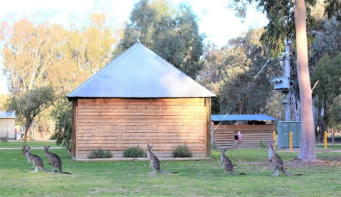 Ingenia Holidays Murray Bend - Accommodation Brunswick Heads 1