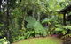Tropical Bliss Bed & Breakfast - thumb 6