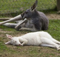 A Twist of Willow - Accommodation Brunswick Heads