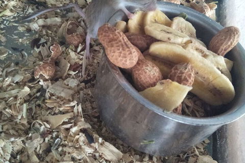 A Twist Of Willow - Accommodation Brunswick Heads 6