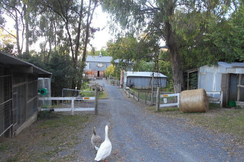 A Twist Of Willow - Accommodation Brunswick Heads 1
