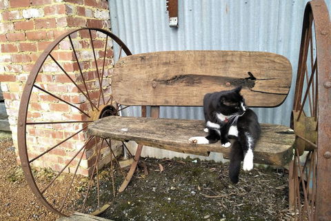 A Twist Of Willow - Accommodation Brunswick Heads 7