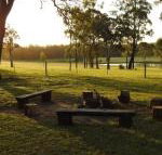 Wallaby Cottage cute Accom in bushland setting - Accommodation Brunswick Heads
