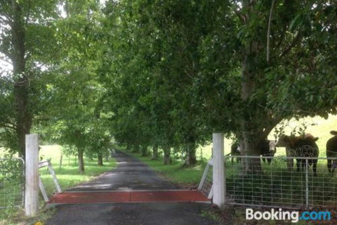 Whispers At Cedar Grove - Accommodation Brunswick Heads 7