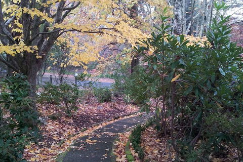 Kubba Roonga Guesthouse - Luxury Spa Retreat - Accommodation Brunswick Heads 2