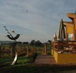Art at Linden Gate