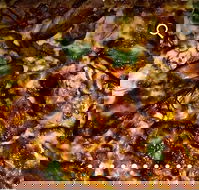 Pizza D'oh - Accommodation Brunswick Heads