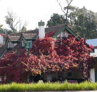 Fetching Treasures - Accommodation Brunswick Heads