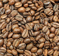 Coffee Guru Ulladulla - Accommodation Brunswick Heads