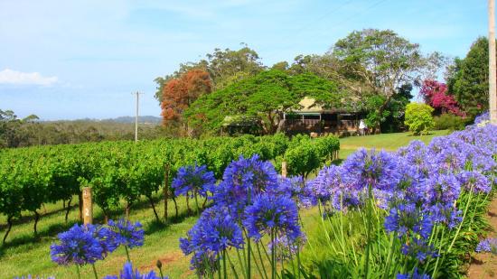 Port Macquarie NSW Accommodation Brunswick Heads