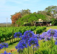 Little Fish Cafe - Accommodation Brunswick Heads
