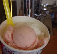 Bermagui Gelati Clinic - Accommodation Brunswick Heads