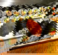 Freewave Sushi  Burgers - Accommodation Brunswick Heads