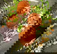 Ollie Masons Cafe - Accommodation Brunswick Heads