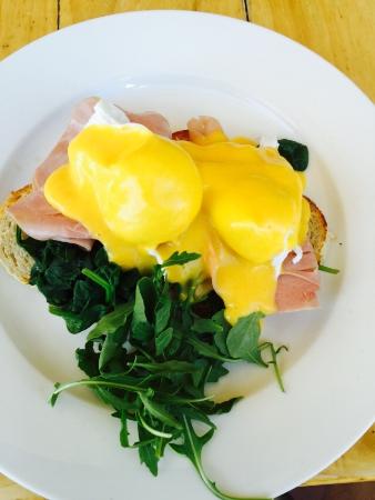 The Point Cafe - Accommodation Brunswick Heads 0