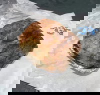 Country Kitchen Gourmet Pies - Accommodation Brunswick Heads