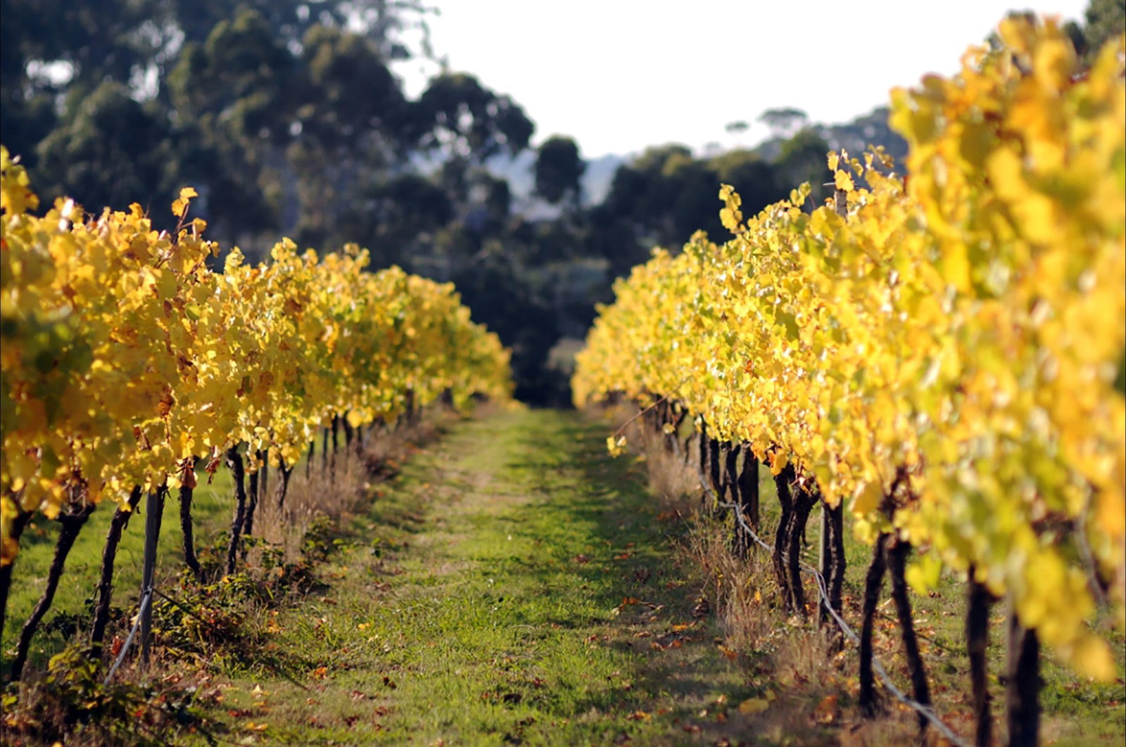 Accommodation Brunswick Heads