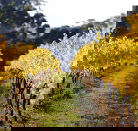 Prickly Moses Brewery - Accommodation Brunswick Heads