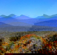 Arcadia Wines - Accommodation Brunswick Heads