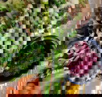 D For Dumplings - Accommodation Brunswick Heads