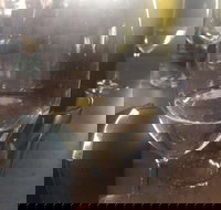 Gilbert's Winery and Cafe - Accommodation Brunswick Heads