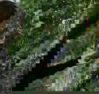 Rowlee Vine To Table Experience - Accommodation Brunswick Heads