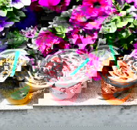 Starbucks - Mascot - Accommodation Brunswick Heads