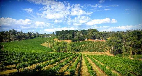 Kellybrook Winery And Kelly Brothers Cider - Accommodation Brunswick Heads 0