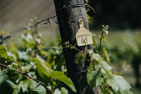 Kellybrook Winery And Kelly Brothers Cider - Accommodation Brunswick Heads 2