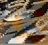 Perso - Accommodation Brunswick Heads