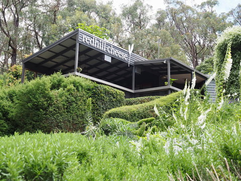 Red Hill Cheese - Accommodation Brunswick Heads 2