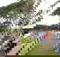 Darwin Ski Club - Accommodation Brunswick Heads