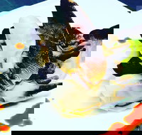 Dumpling Yum Cha Ballina - Accommodation Brunswick Heads