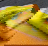 House Of Canton - Accommodation Brunswick Heads