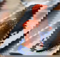 MoVida  The Airport - Mascot - Accommodation Brunswick Heads