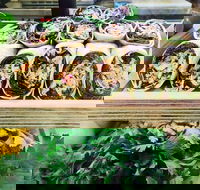 Salud Expresso Bar - Accommodation Brunswick Heads