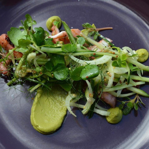 Bellbird - Accommodation Brunswick Heads 0