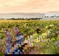 Boston Bay Wines - Accommodation Brunswick Heads