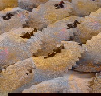 Miami Bakehouse Mandurah - Accommodation Brunswick Heads