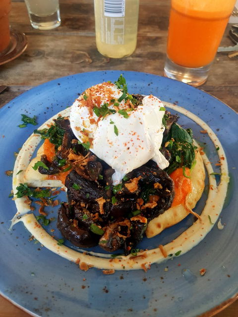 Mister Sunshine's - Accommodation Brunswick Heads 4