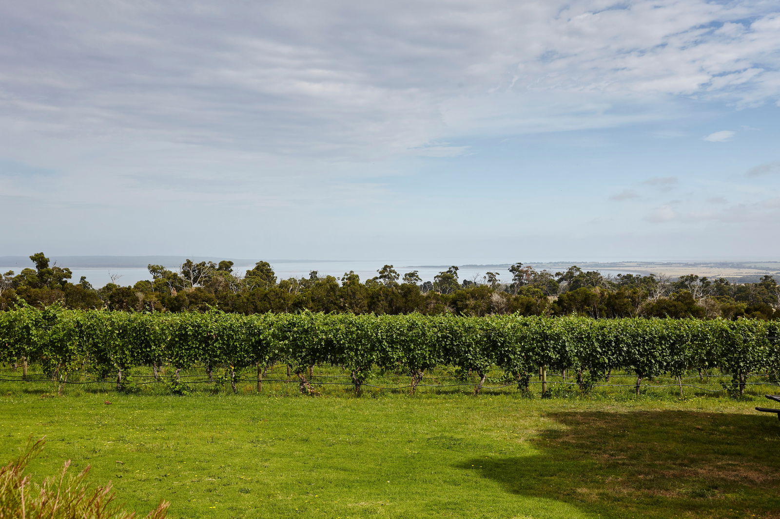 Adams Estate VIC Accommodation Brunswick Heads