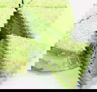 Furuta Dessert House - Glen Waverley - Accommodation Brunswick Heads