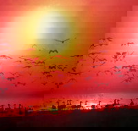 Airport Tavern - Darwin International Airport - Accommodation Brunswick Heads