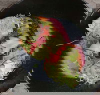 Crowded House - Accommodation Brunswick Heads