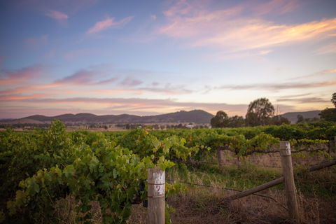Thistle Hill Wines - Accommodation Brunswick Heads 2