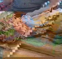 Vale - Accommodation Brunswick Heads